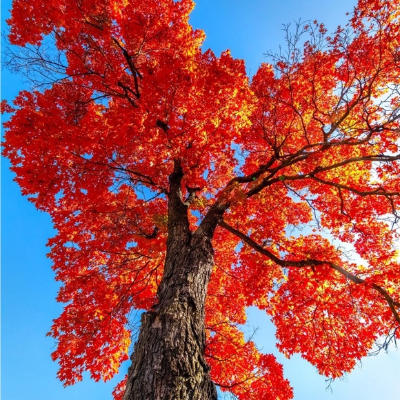 Meet your Posher, Tammy - Picture 4 of 4